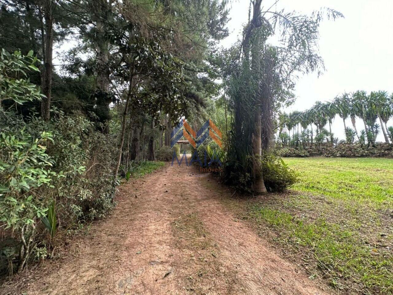 Chácara Cotia, São José dos Pinhais - PR