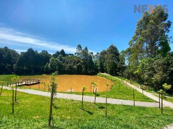 Terreno Vila Rivabem, Campo Largo - PR