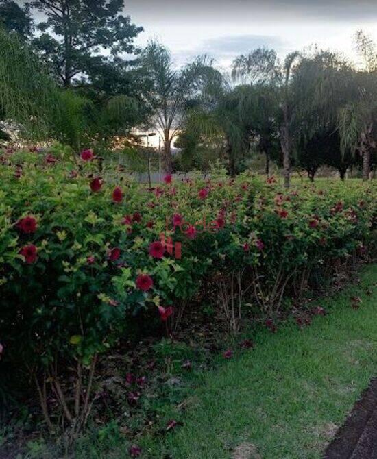 Santa Marta - Ribeirão Preto - SP, Ribeirão Preto - SP