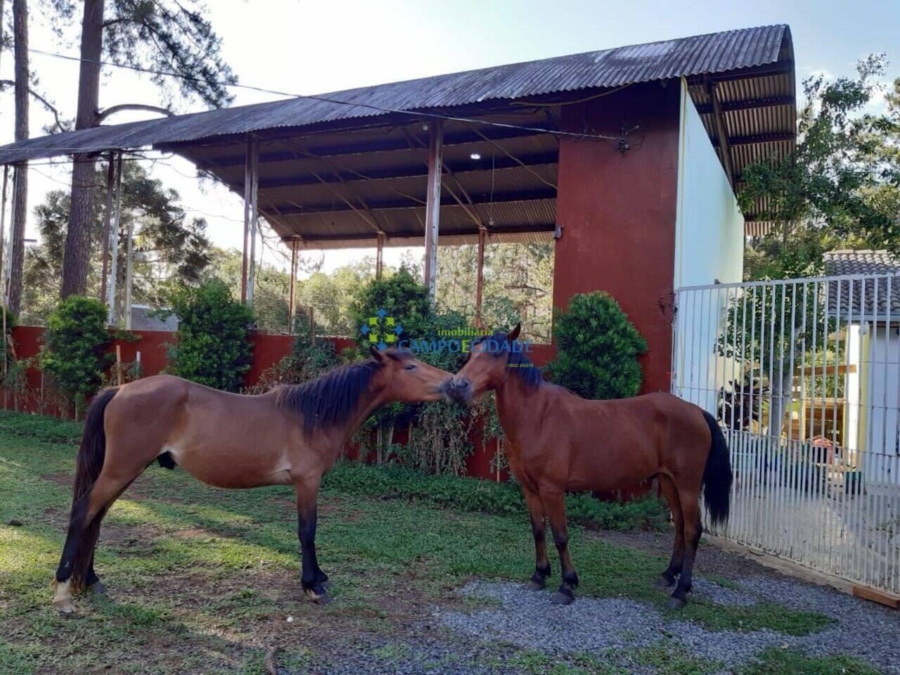 Área Interior, Laranjeiras do Sul - PR