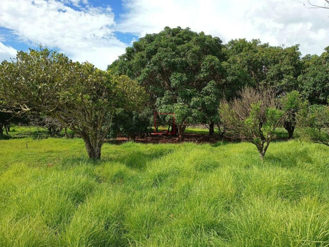 Fazenda Zona Rural, Brasília de Minas - MG