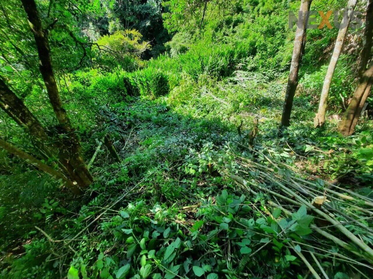 Terreno Pilarzinho, Curitiba - PR