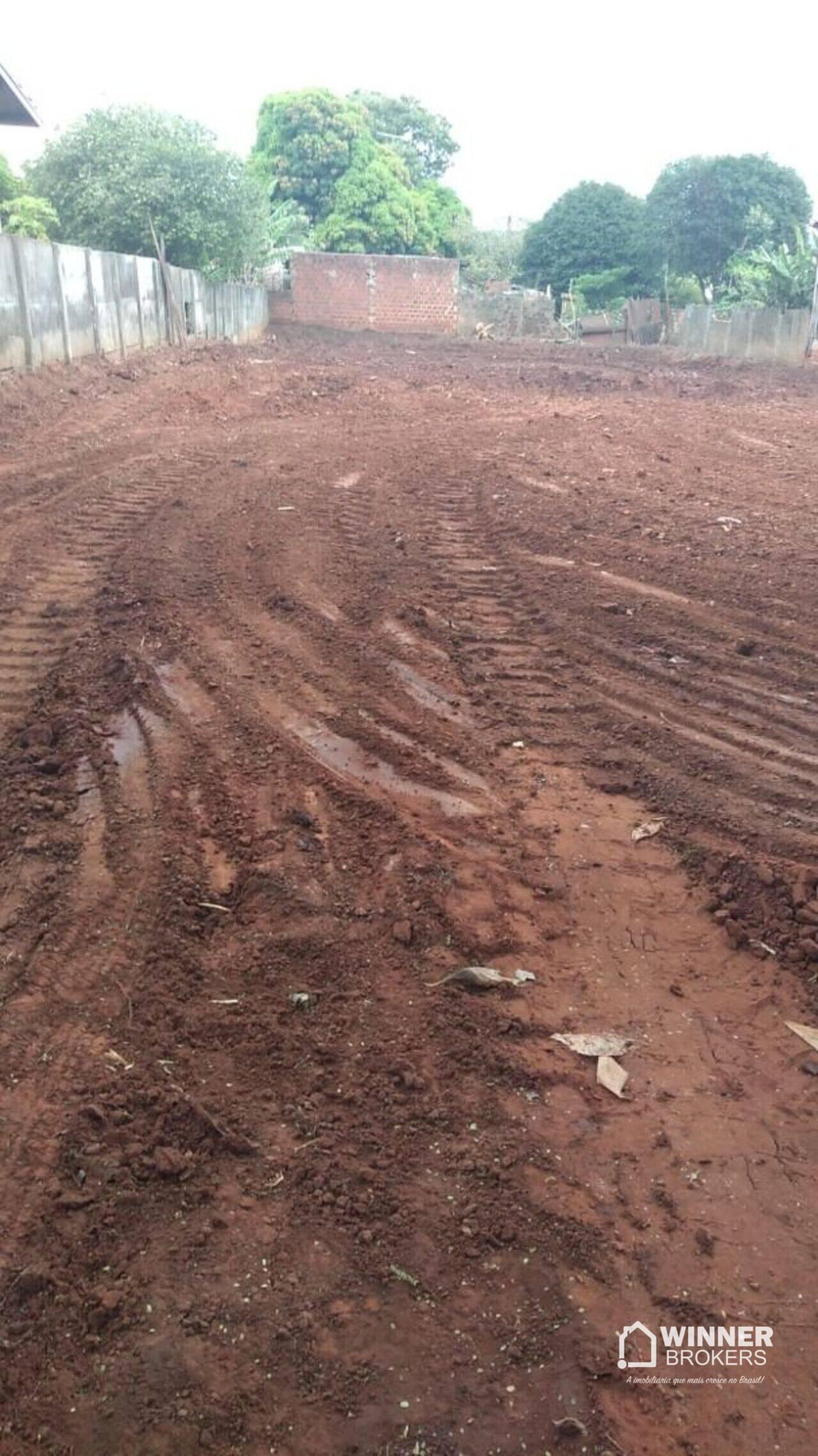 Terreno Centro, Nova Esperança - PR