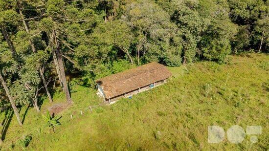 Borda Do Campo - São José dos Pinhais - PR, São José dos Pinhais - PR