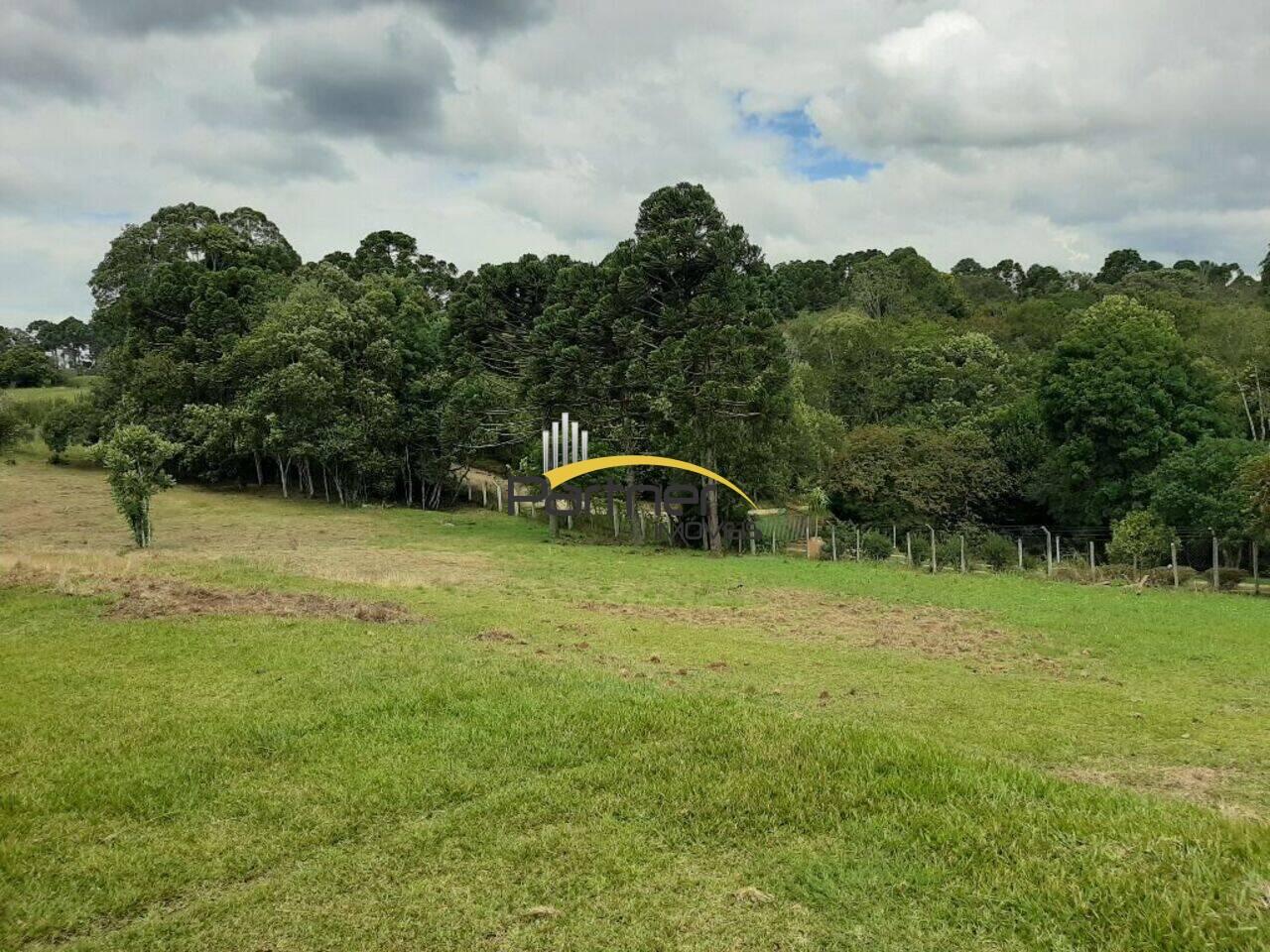 Chácara Chácaras Olhos D´água, Campina Grande do Sul - PR