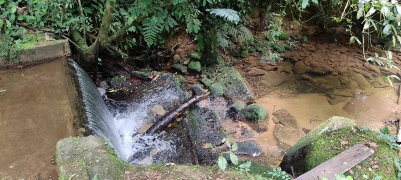 Sítio Tagaçaba de Baixo, Guaraqueçaba - PR