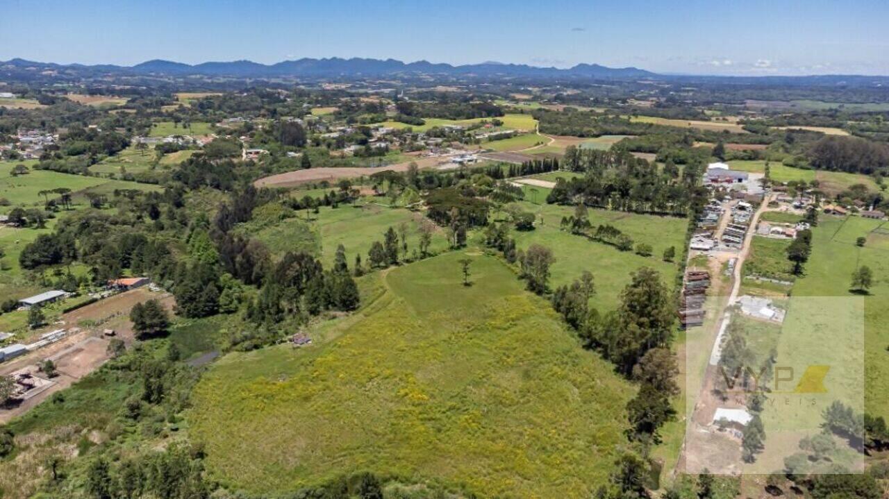 Haras Colônia Murici, São José dos Pinhais - PR