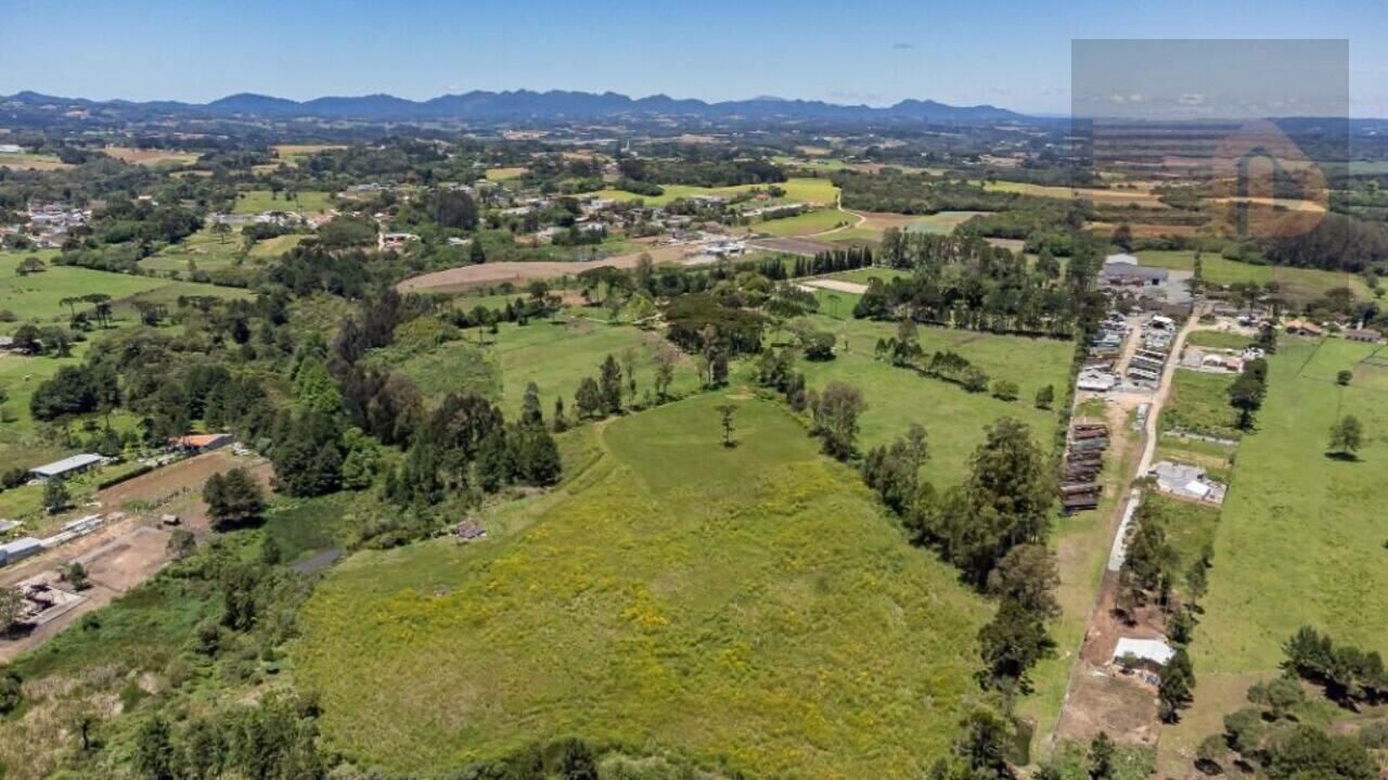 Haras Colônia Murici, São José dos Pinhais - PR