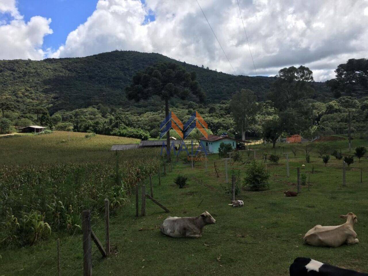 Chácara Saltinho, Mandirituba - PR