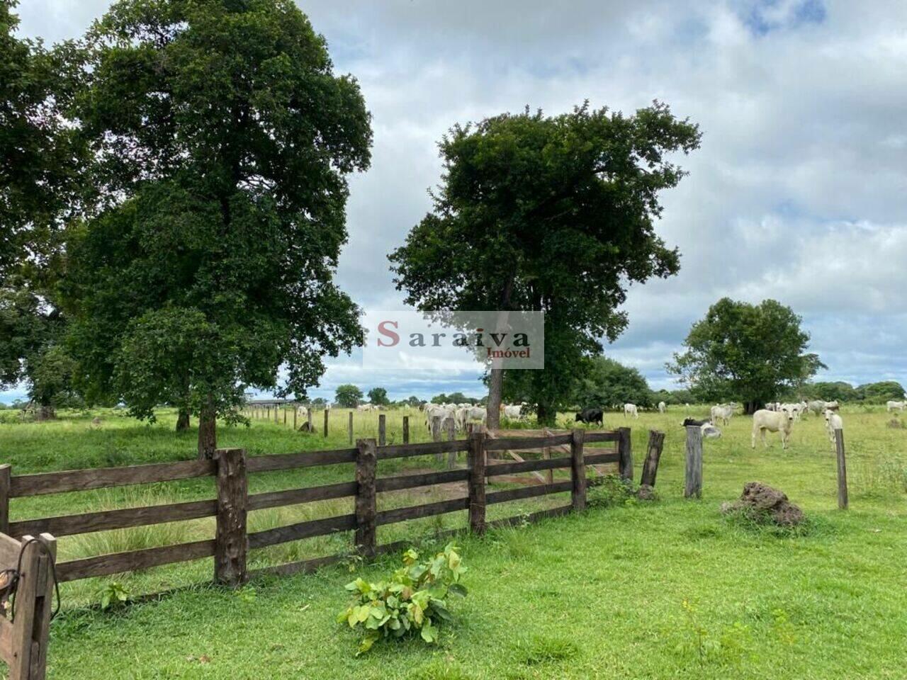 Fazenda Zona Rural, Cocalinho - MT