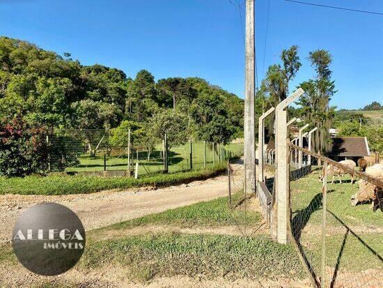 Boichininga - Almirante Tamandaré - PR, Almirante Tamandaré - PR