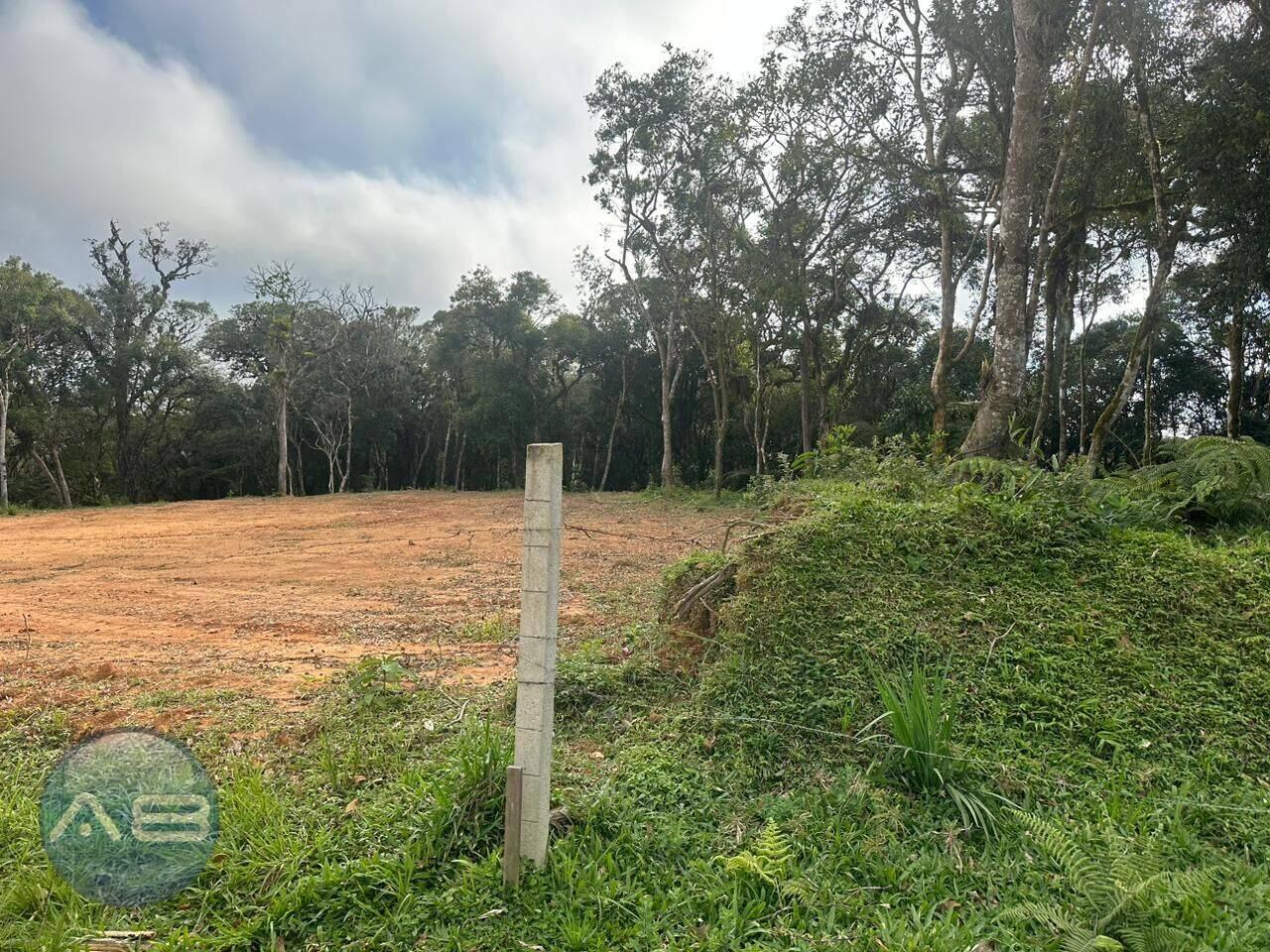 Área Area Rural, São José dos Pinhais - PR