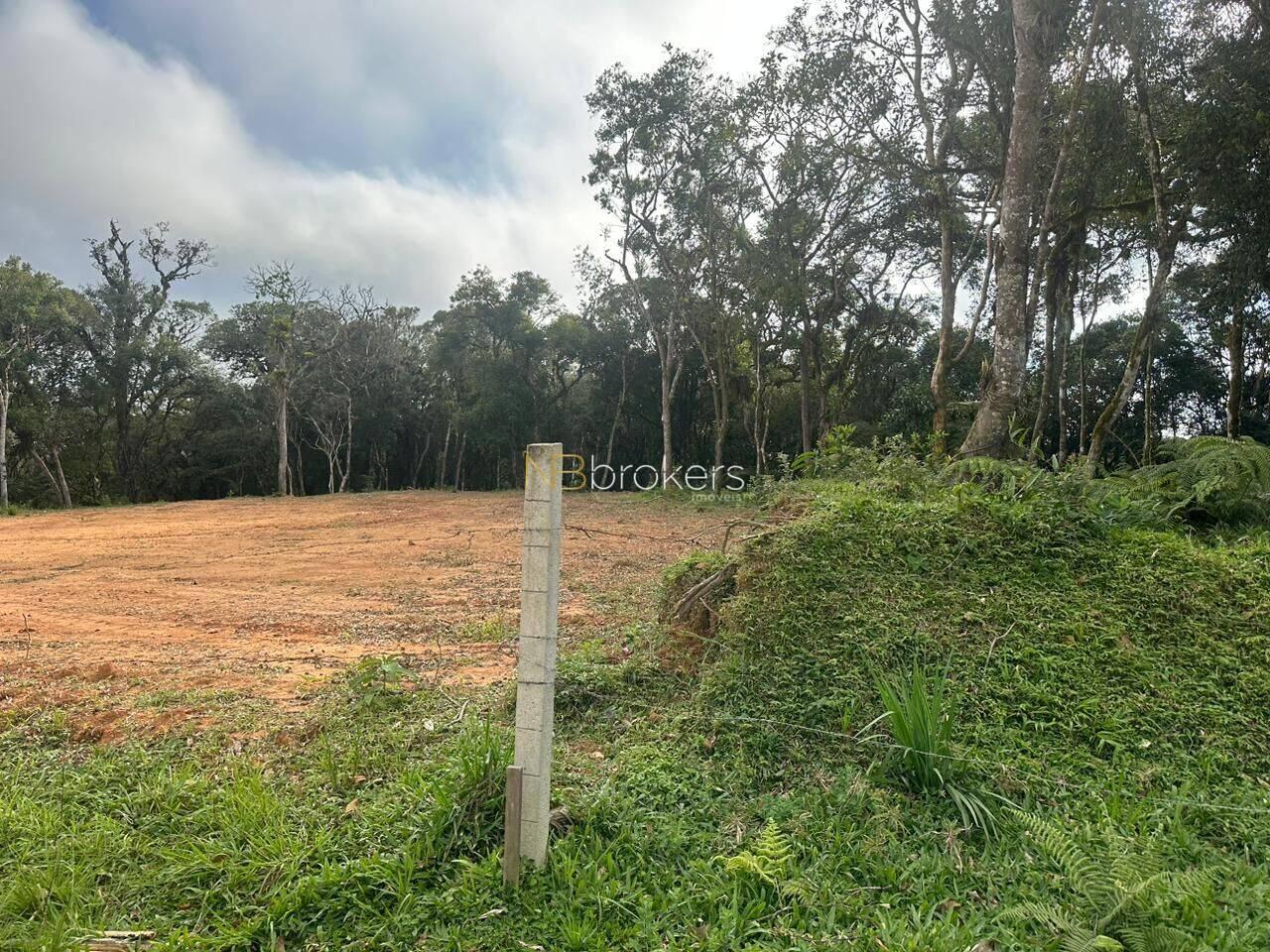 Área Area Rural, São José dos Pinhais - PR