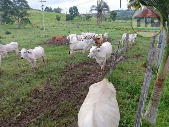 Fazenda Zona Rural, Marabá - PA