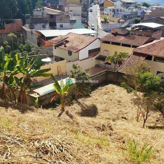 Democrata - Juiz de Fora - MG, Juiz de Fora - MG