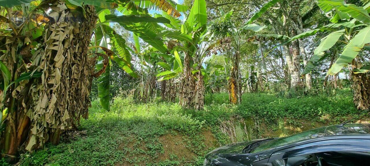 Área Cotia, Cotia - SP