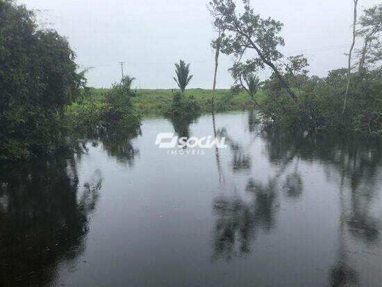 Área Rural de Porto Velho - Porto Velho - RO, Porto Velho - RO