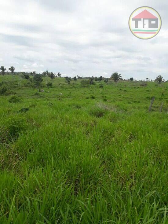 Fazenda -5.417025, -48.942720, São João do Araguaia - PA