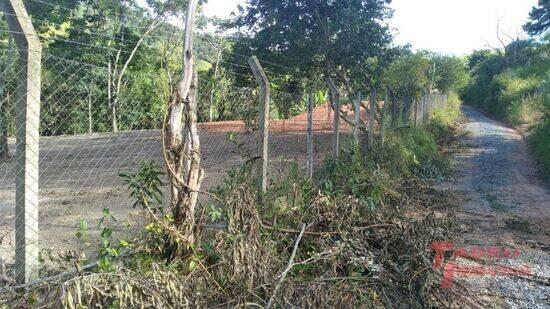 Canta Galo - Pouso Alegre - MG, Pouso Alegre - MG