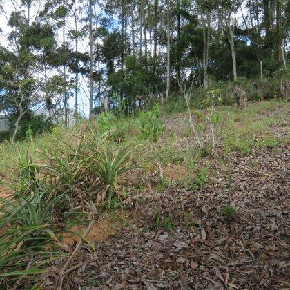 Terrenos à venda Mury