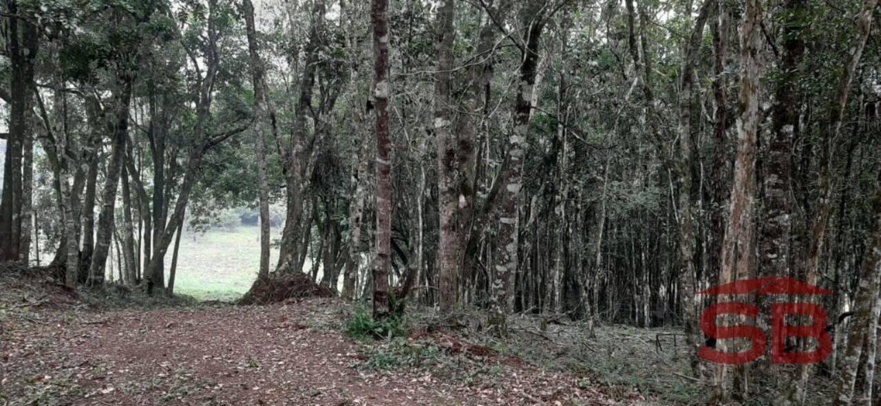 Chácara Chácaras Olhos D´água, Campina Grande do Sul - PR