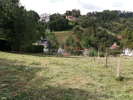 Abernéssia - Campos do Jordão - SP, Campos do Jordão - SP