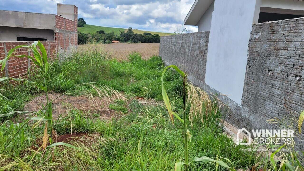 Terreno Jardim Nova Floresta, Floresta - PR