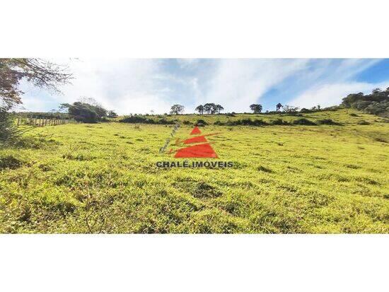 Sítio de 254.100 m² Zona Rural - Pouso Alegre, à venda por R$ 1.050.000