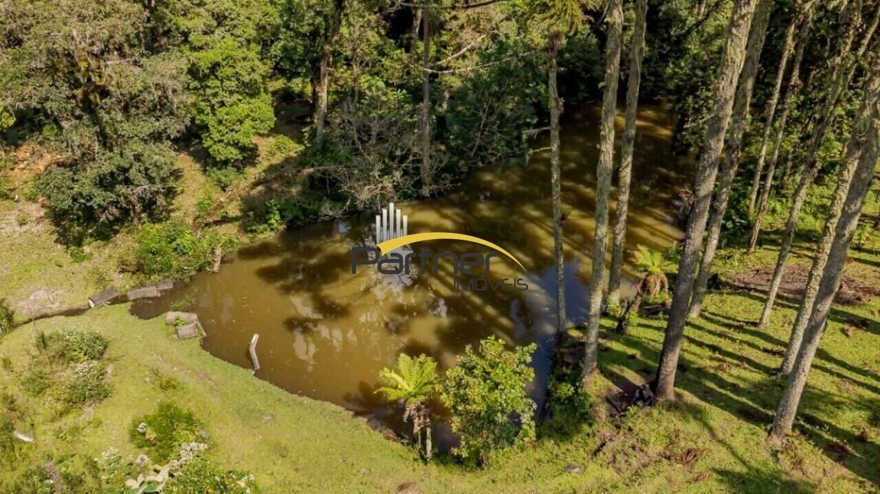 Chácara Borda Do Campo, São José dos Pinhais - PR