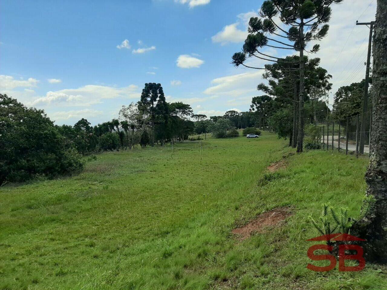 Área Chácaras Olhos D´água, Campina Grande do Sul - PR