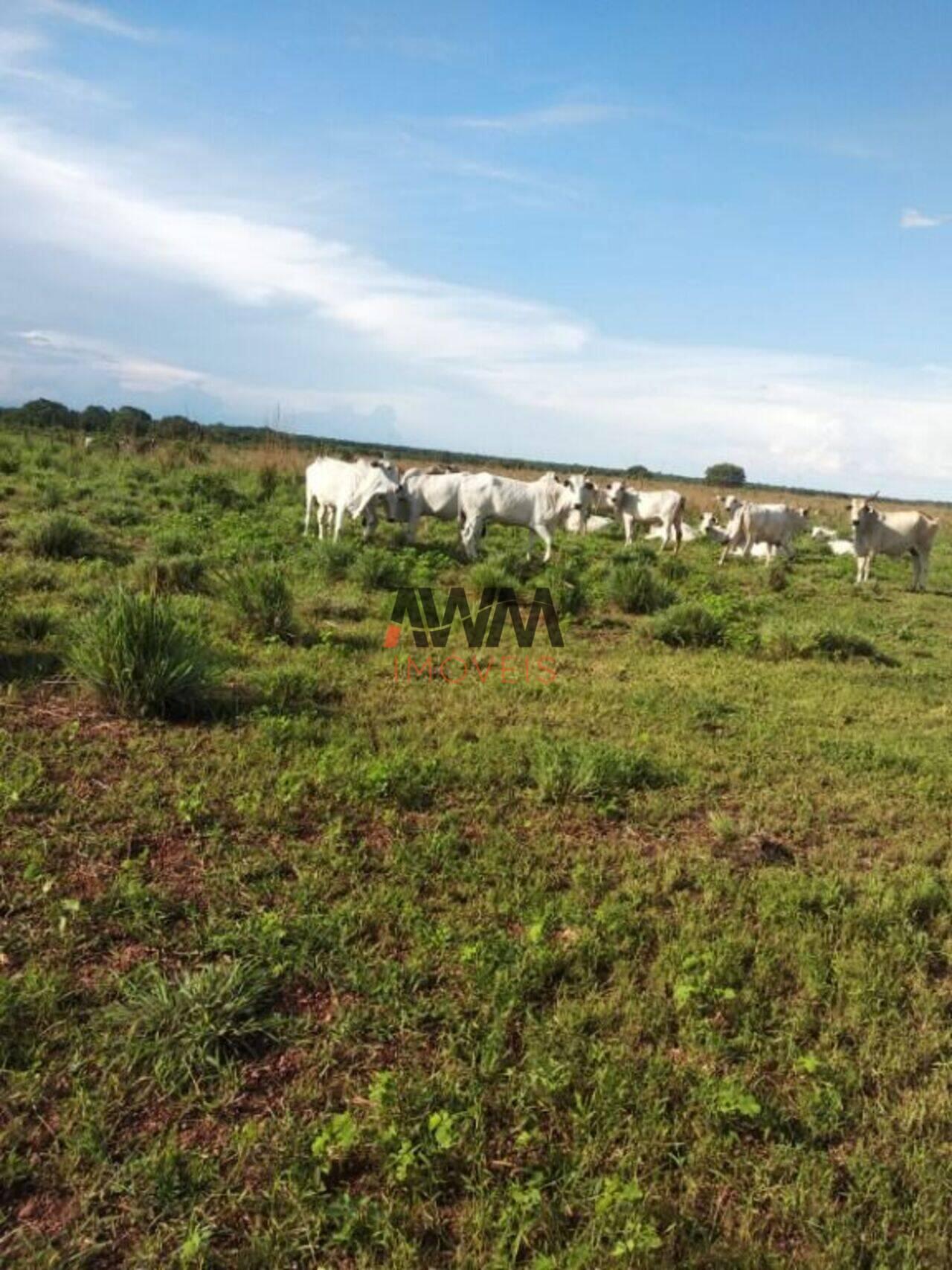 Fazenda Zona Rural, Duerê - TO