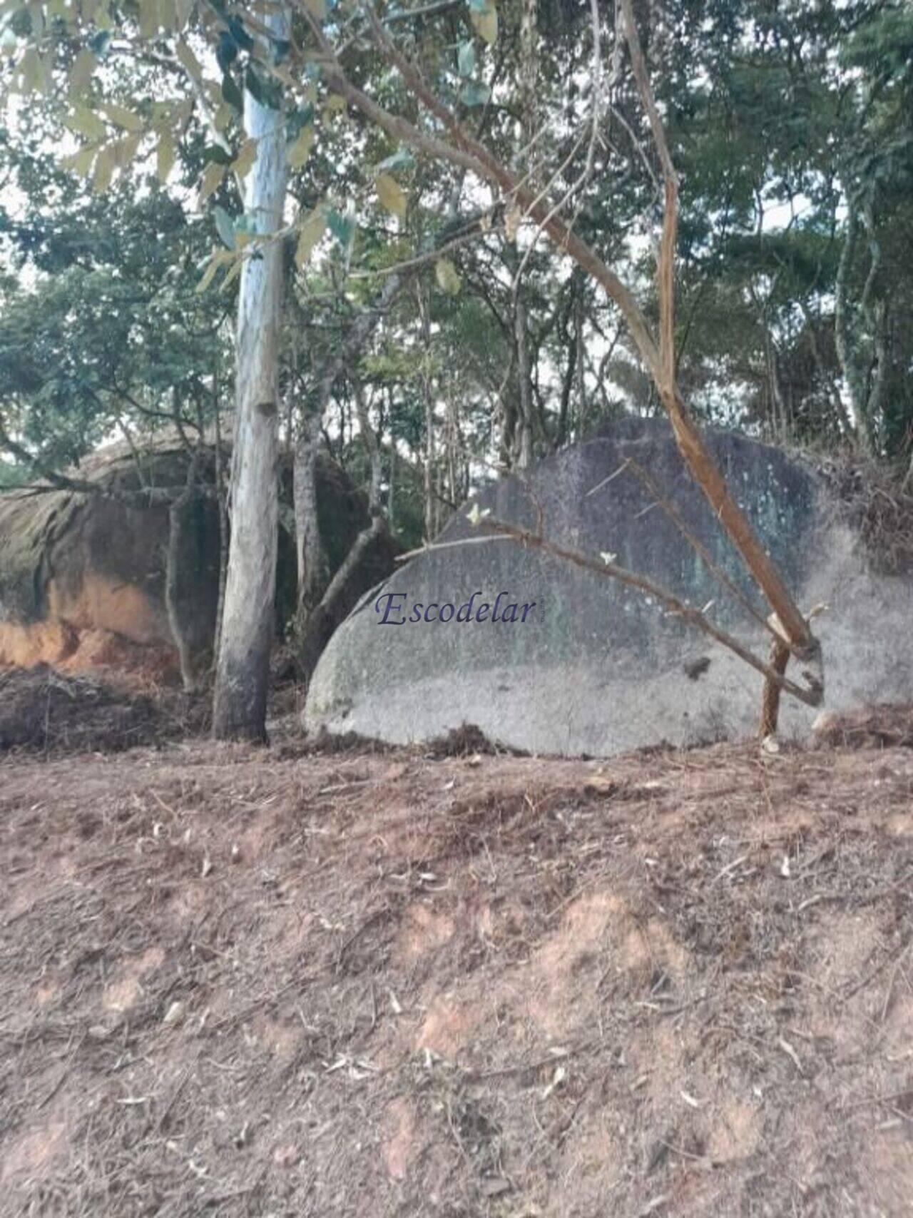 Terreno Jardim Peri, São Paulo - SP