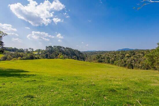 Miniatura - Fazenda de 798.600 m² Borda Do Campo - São José dos Pinhais, à venda por R$ 12.500.000