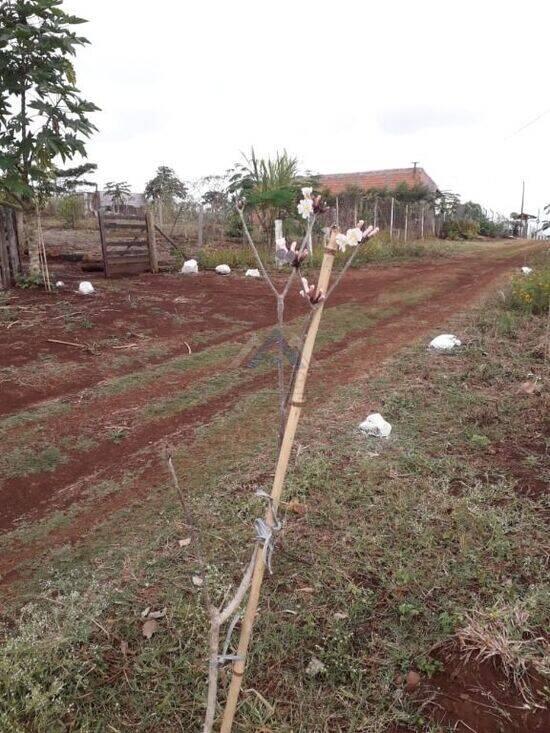 Rural  - Jataizinho - PR, Jataizinho - PR