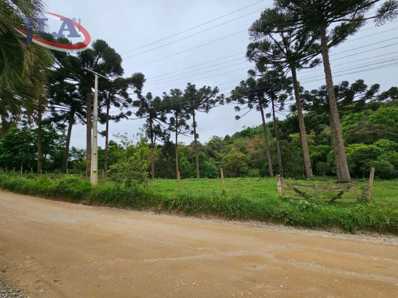 Terreno Colônia Antônio Prado, Almirante Tamandaré - PR