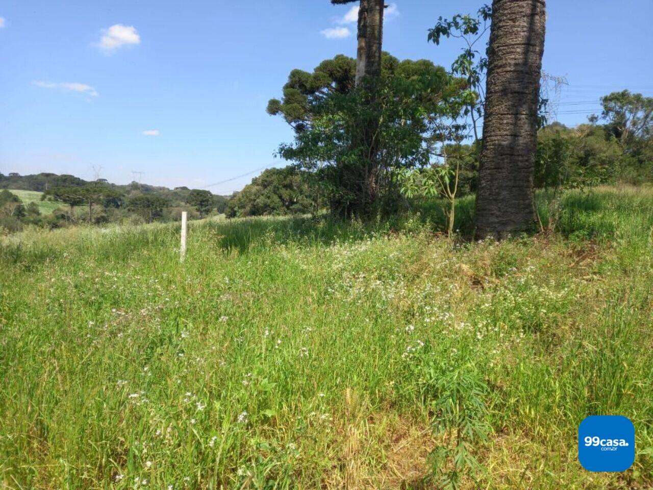 Área Reboucas, Campo Largo - PR