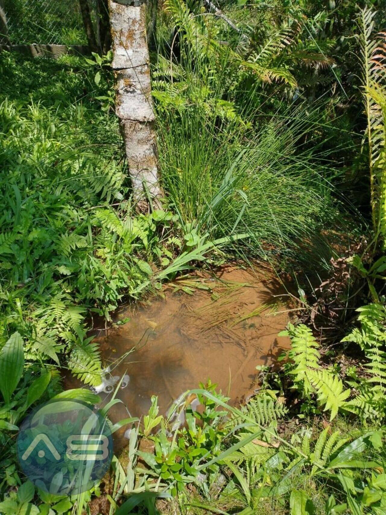 Terreno Planta Meireles, Piraquara - PR