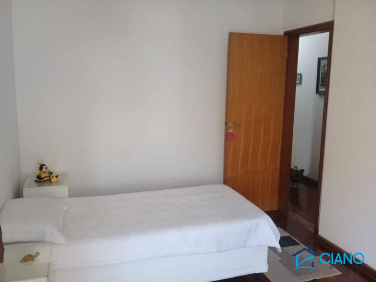 Apartamento Mooca, São Paulo - SP