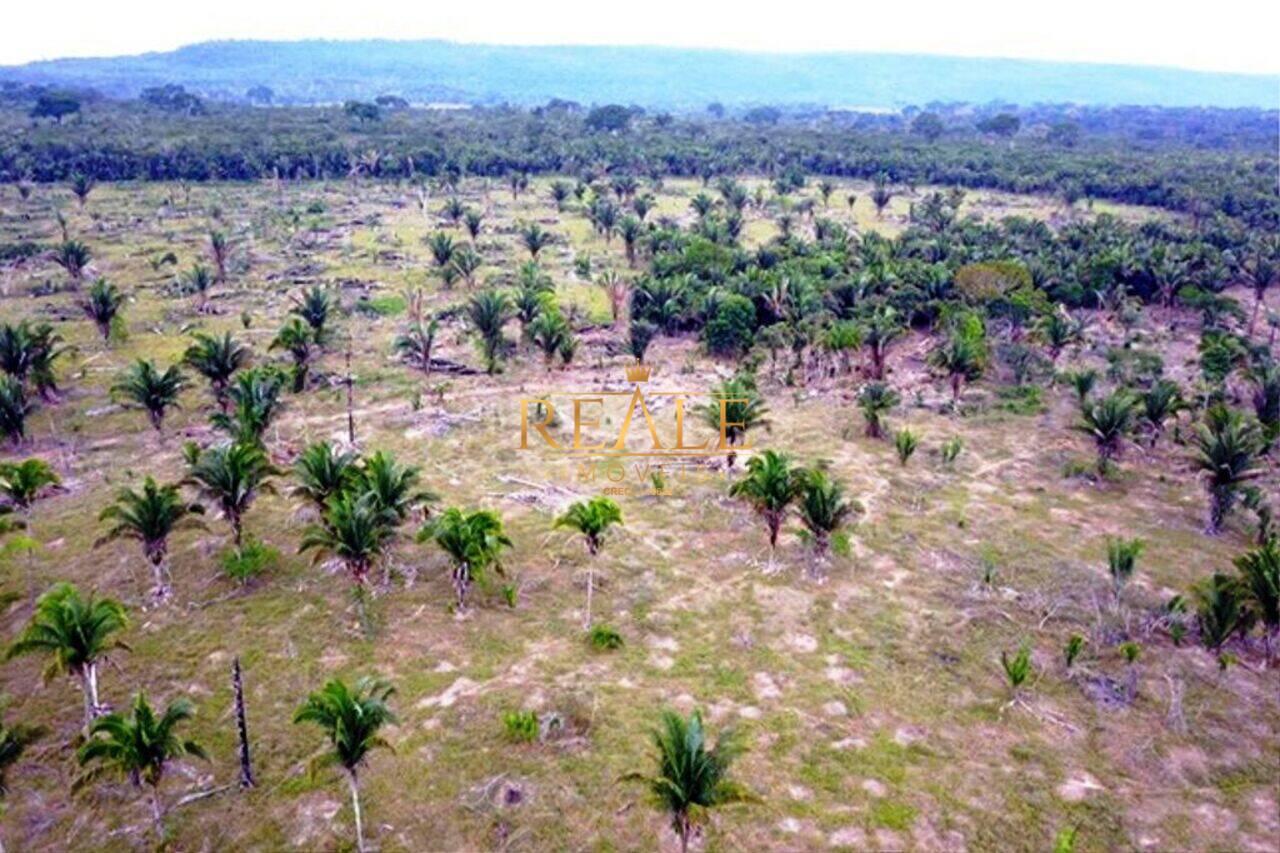 Fazenda Área rural de Guajará-Mirim, Guajará-Mirim - RO