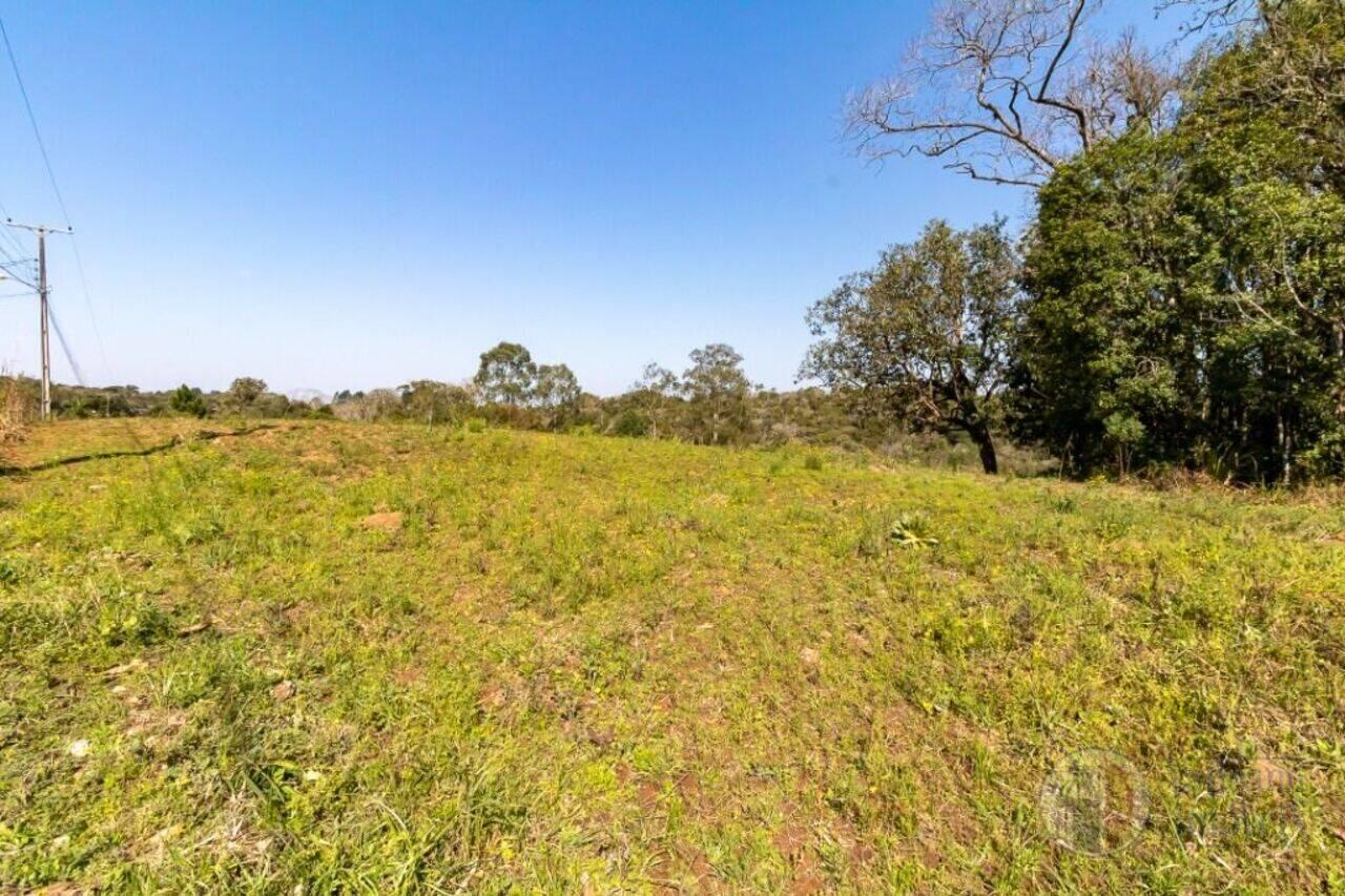 Terreno São Sebastião, São José dos Pinhais - PR