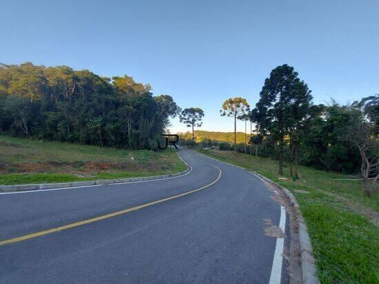 Rondinha - Campo Largo - PR, Campo Largo - PR