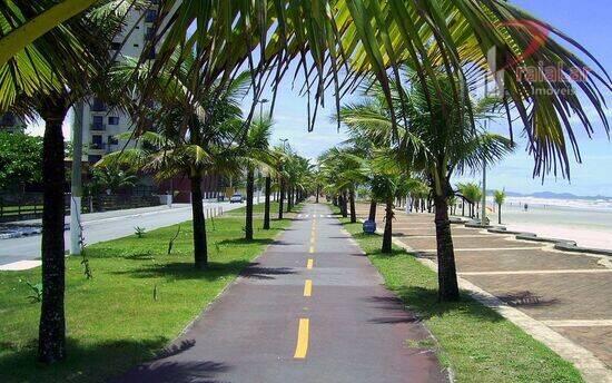 Aviação - Praia Grande - SP, Praia Grande - SP