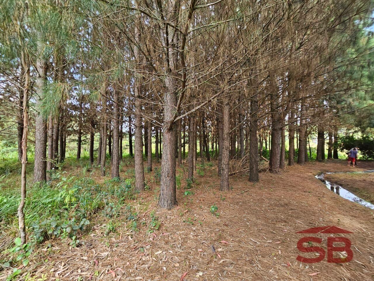 Chácara Colônia Murici, São José dos Pinhais - PR