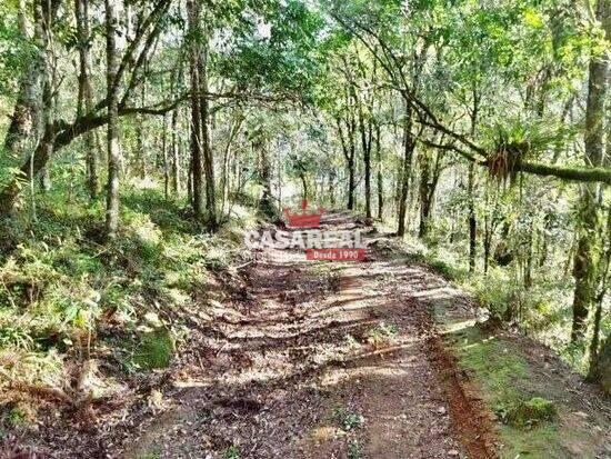 Bom Jesus - Campo Largo - PR, Campo Largo - PR