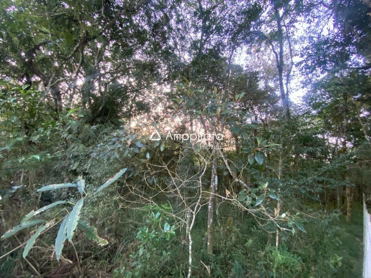 Chácara Chácaras Olhos D´água, Campina Grande do Sul - PR