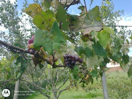 Bom Retiro - Bragança Paulista - SP, Bragança Paulista - SP