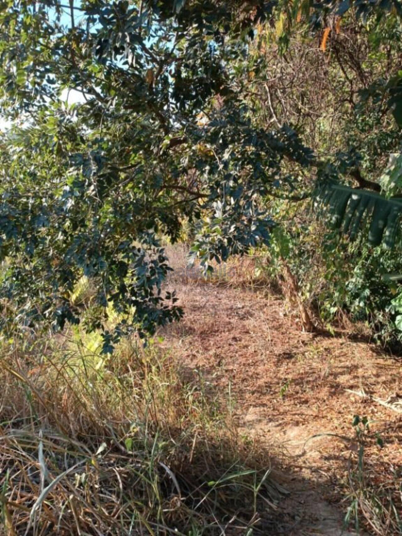 Chácara Bairro dos Pires, Limeira - SP