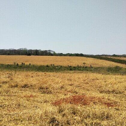 Chácaras à venda Zona Rural