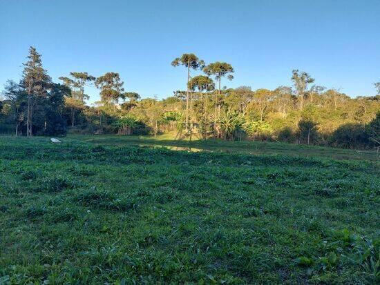 Rondinha - Campo Largo - PR, Campo Largo - PR