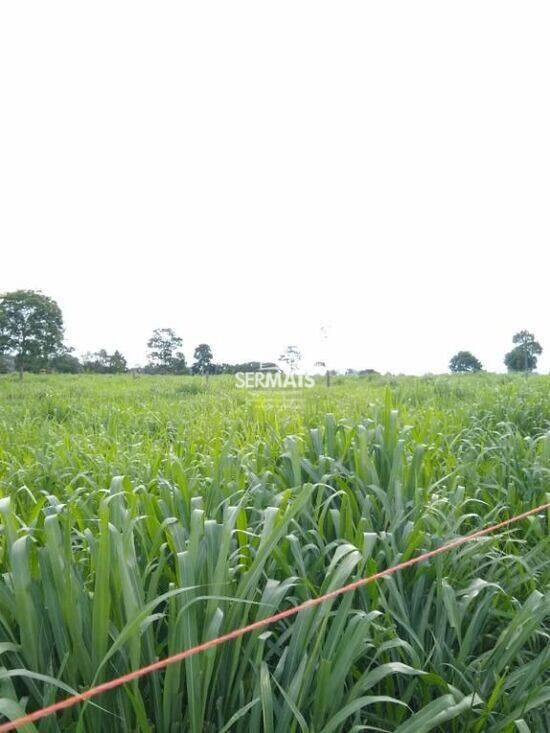 Zona Rural - Machadinho D'Oeste - RO, Machadinho D'Oeste - RO